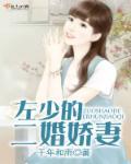 左少宠妻至深全文免费阅读