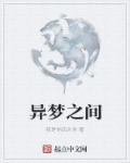 异梦txt