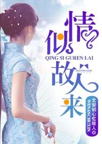 情似故人来全集电子书
