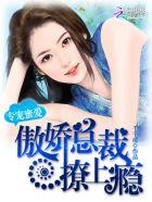 专宠蜜爱傲娇总裁撩上瘾