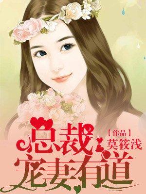 总裁宠妻有技巧免费完结