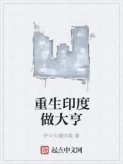 重生之印度大亨