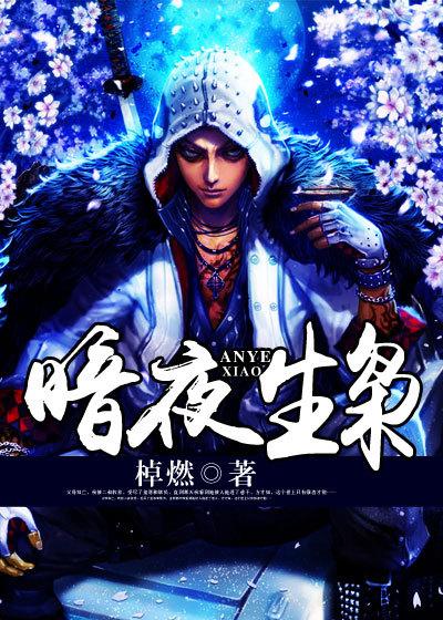 暗夜免费阅读全文