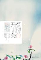 爱情的开关豆瓣