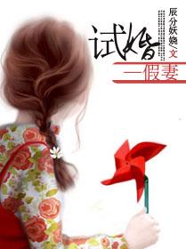 试婚进行时 免费阅读