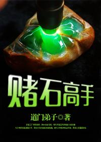 赌石高手全文免费阅读李健