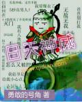 九天神威全集