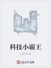 小霸王游戏网页版