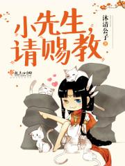 小先生免费阅读全文