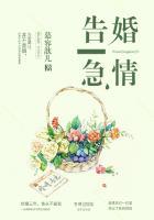 婚情告急顾总别来无恙免费阅读