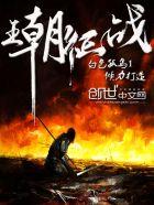 王朝战争中文版