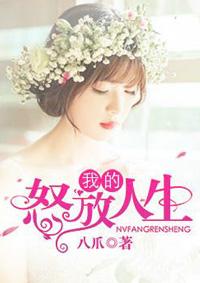 我的怒放人生沈宁最新章节更新