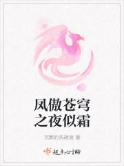 凤唳苍穹
