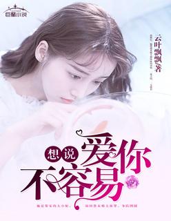 想说爱你不容易电视剧