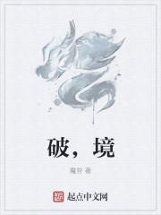 破境重圆推荐