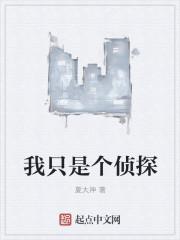 我是侦探