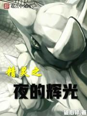 夜之精灵什么意思